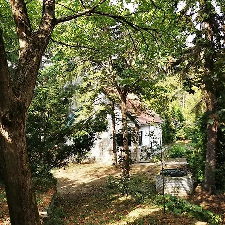 Irofeszek Vendeghaz Holiday home Zebegeny