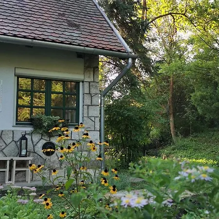 Feriehus Irofeszek Vendeghaz Zebegény