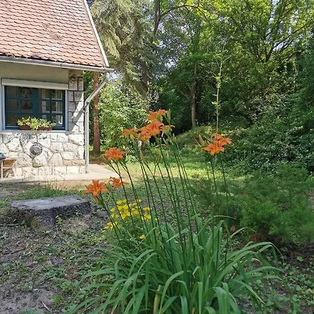 Feriehus Irofeszek Vendeghaz Zebegény